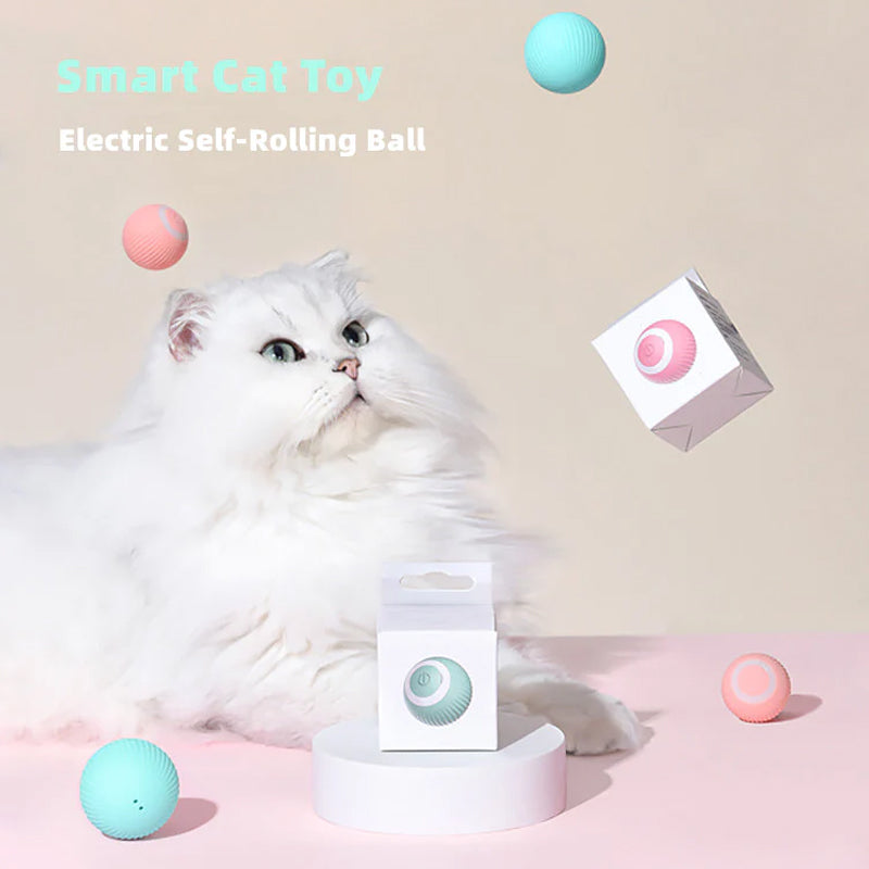 Smart Self Rolling Ball