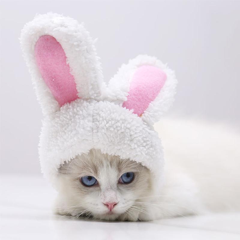 Rabbit-shaped Headgear for Pets