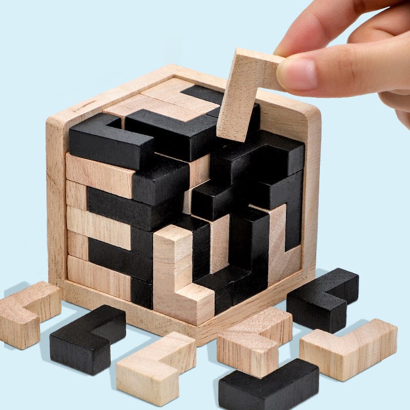 🧩Wooden Intelligence Toy Brain Teaser Game🧩