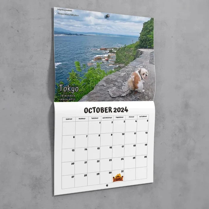 😆Funniest calendar of the century|"Artistic expression" of furry friends