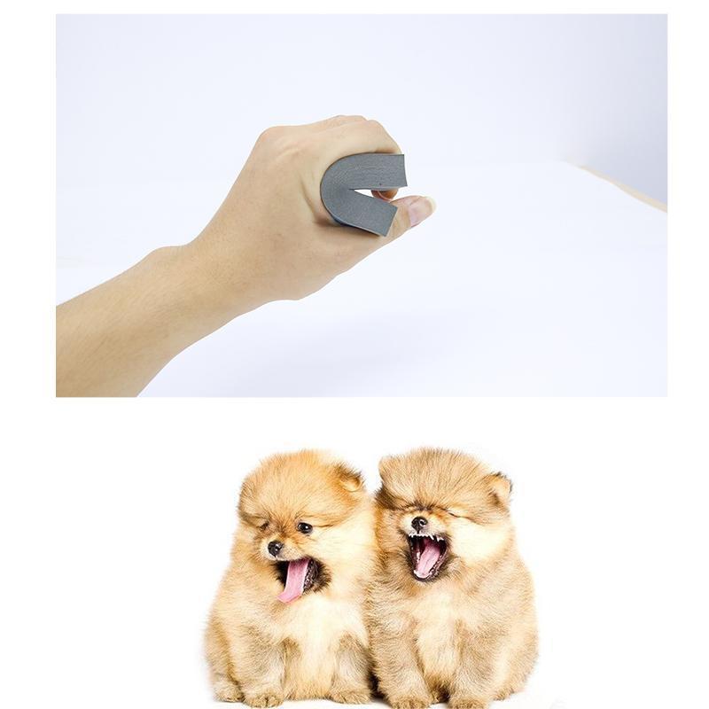 Magic Pet Hair Foam Block Erasing